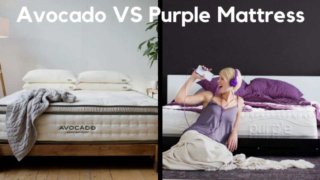 Avocado Vs Purple Mattress Find The Most Comfortable Mattress