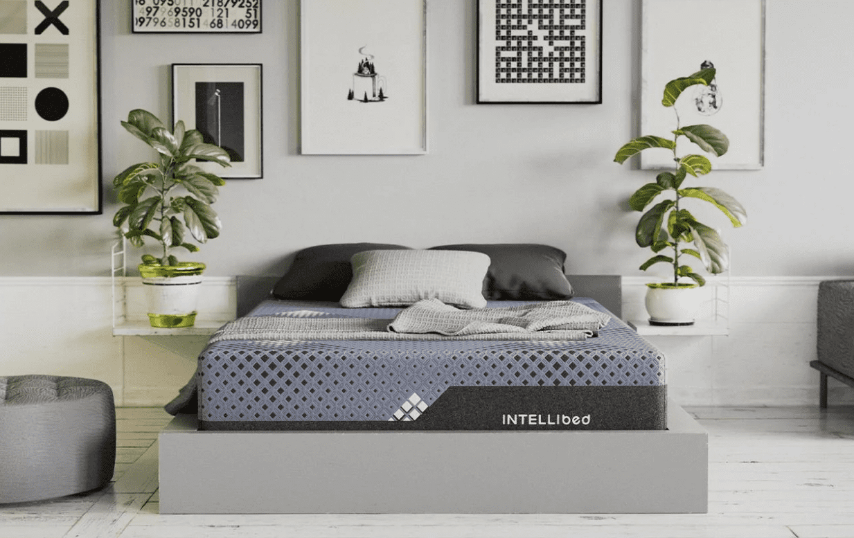 Intellibed Mattress