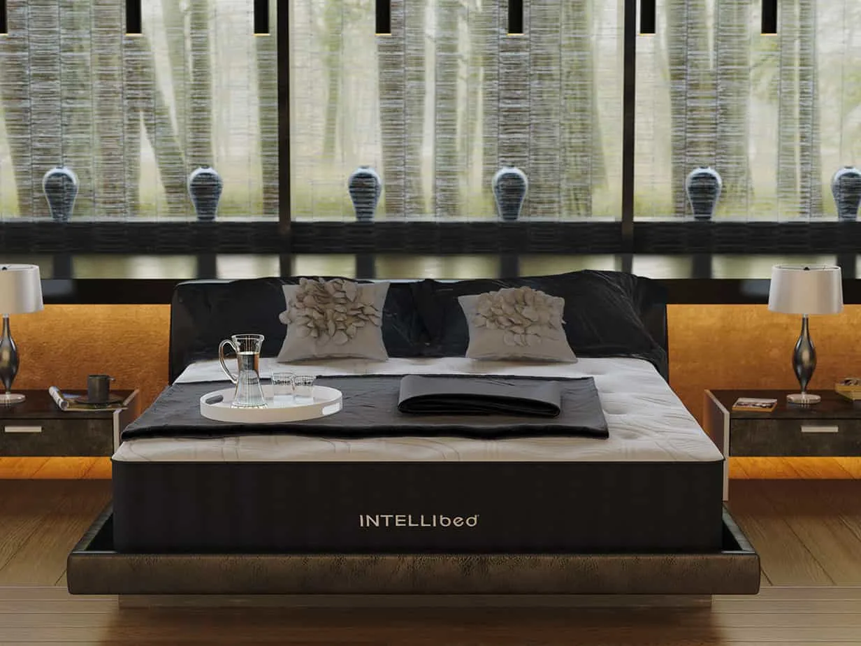 Intellibed Review