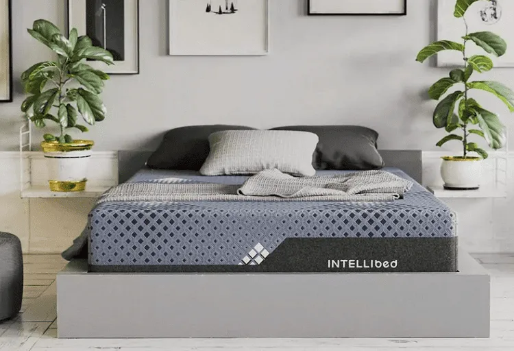 Intellibed Mattress