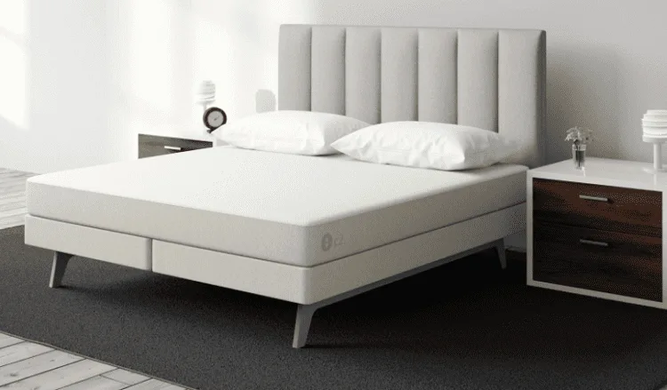 Sleep Number Bed