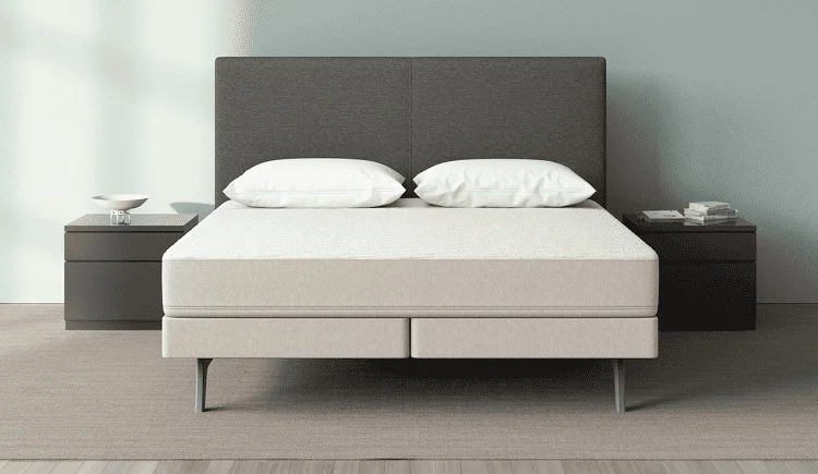 Sleep Number Mattress