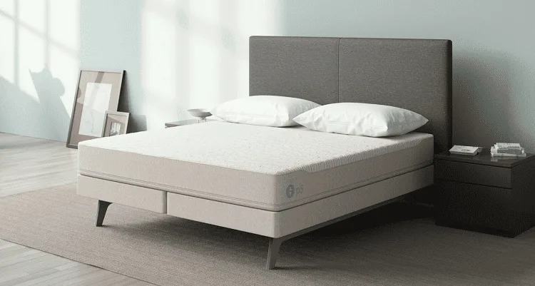 Sleep Number Mattress