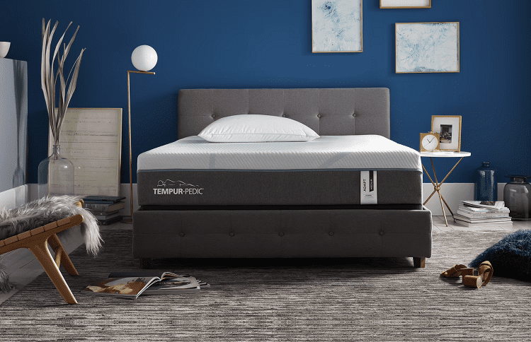 Tempur-Pedic ProAdapt