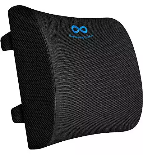 Everlasting Comfort Lumbar Support Pillow