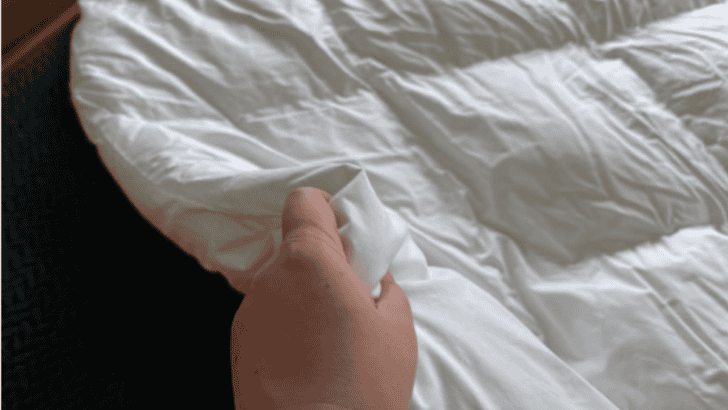 My Honest Parachute Down Alternative Mattress Topper Review