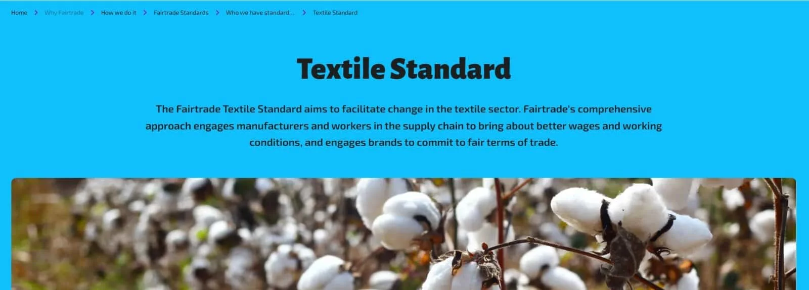 Sustainable Bedding Brandsfairtrade