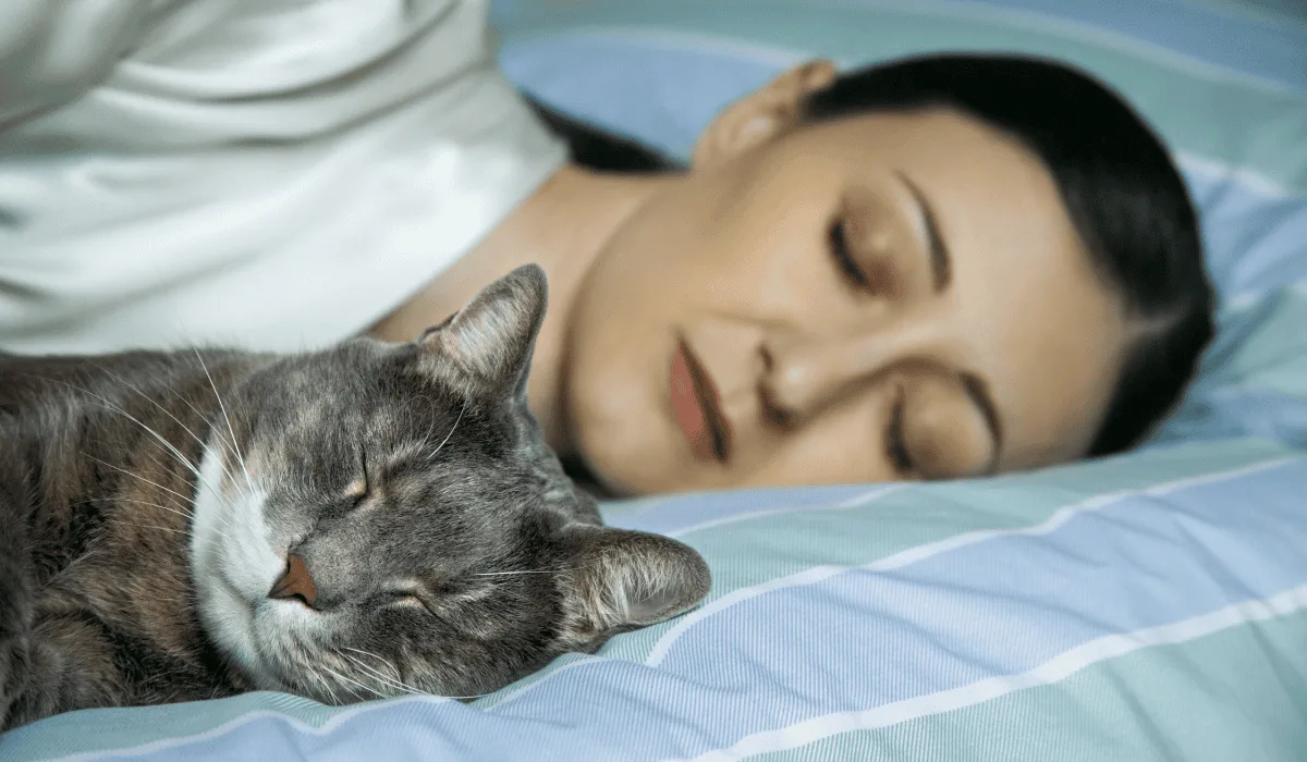 woman sleeping cat 