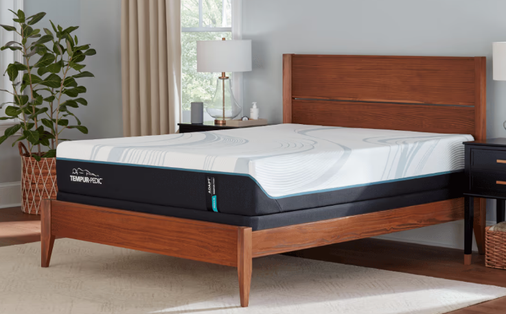 Tempur-Pedic
