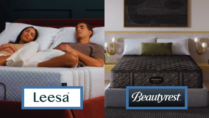 Leesa vs Beautyrest: Which One Earns Your Money?