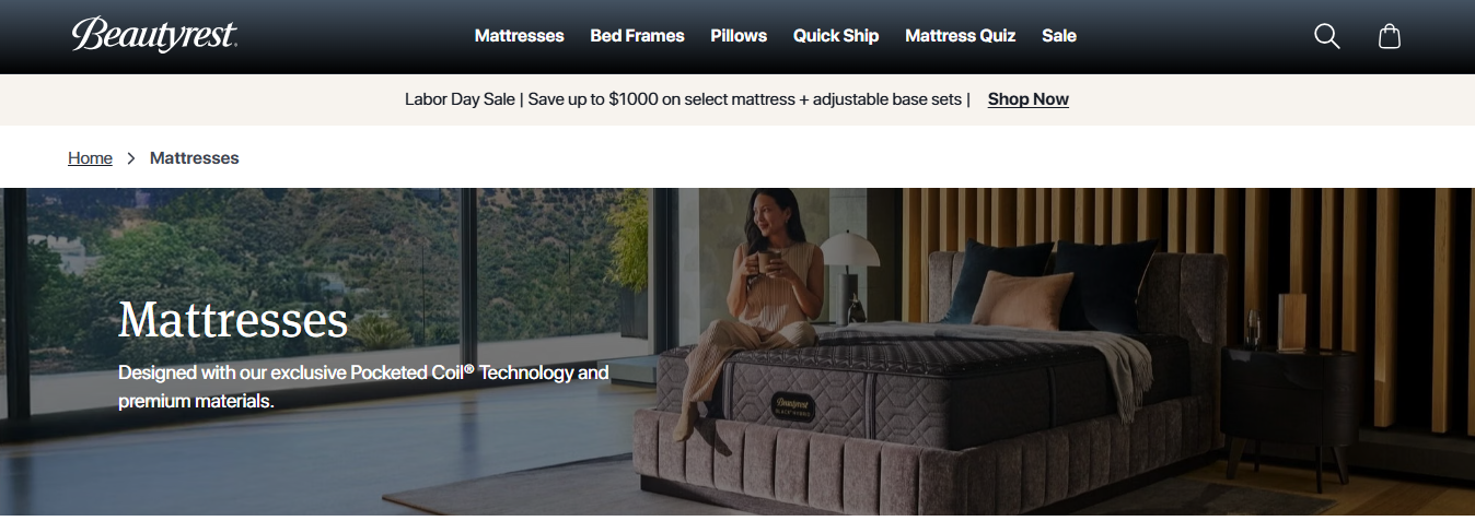 Beautyrest Alternatives